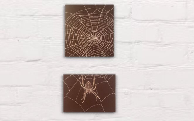 A white web is on one page and the other shows part of the web with a spider hanging in it. The spider is made with silver and gold pen. 