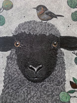 A framed  limited edition print of my mixed media drawing of a Sheep and a Little Bird amongst eucalyptus on 360 gsm pastel paper, rendered in coloured pencil and oil pastel