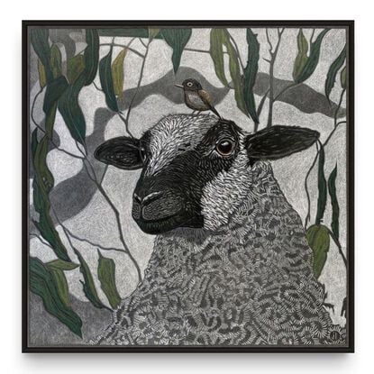 A framed  limited edition print of my mixed media drawing of a Sheep and a Little Bird amongst eucalyptus on 360 gsm pastel paper, rendered in coloured pencil and oil pastel