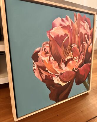 Beautiful orange/pink toned single Peony on a blue toned background oil painting by Amanda Cameron.