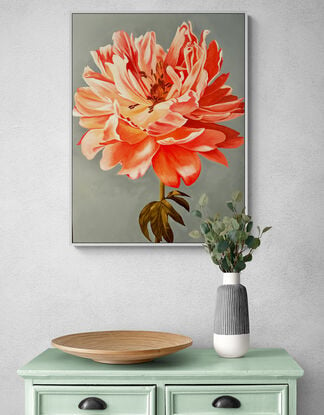 Beautiful orange and pink toned single Peony on a blue toned background oil painting by Amanda Cameron.