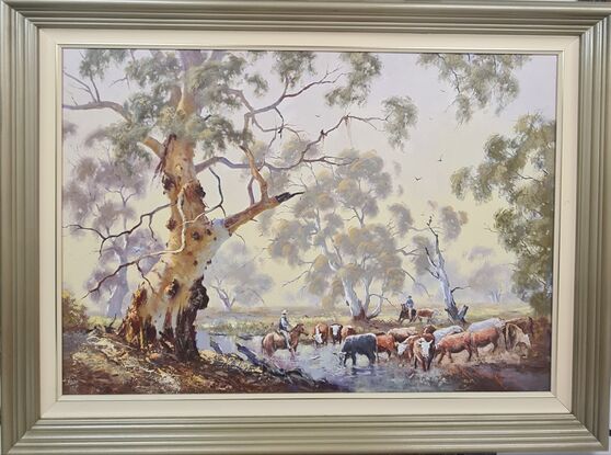 The  Australian Country , its beautiful trees and cattle