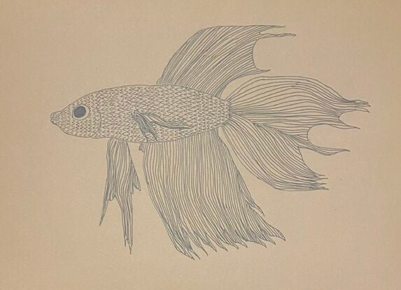 A Betta fish with its flowing tail and fins is covered in lines and dashes. 