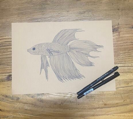 A Betta fish with its flowing tail and fins is covered in lines and dashes. 