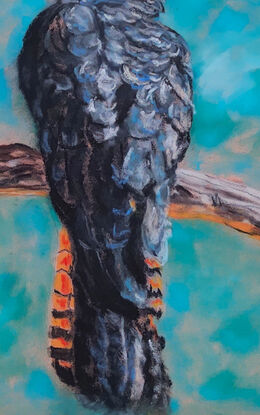 this artwork depicts the beauty of an Australian native bird of the Cacatuidae family, our stunning  female black cockatoo sitting on a branch with a come hither look in her eyes against a background of aqua.