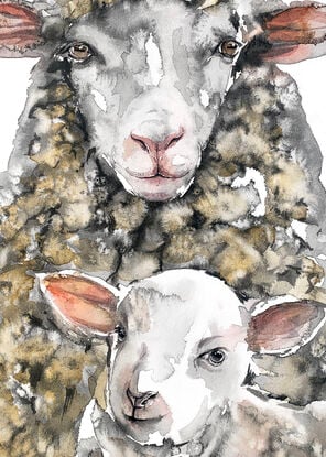 The watchful ewe, cloud-like and soft, shelters her lamb, eyes wide with wonder.
