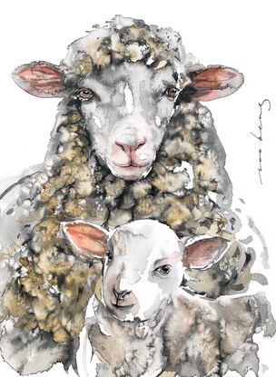 The watchful ewe, cloud-like and soft, shelters her lamb, eyes wide with wonder.
