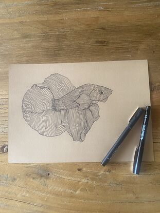 A rainbow betta fish swims created in black fine liner with black dashes and lines for colour. 