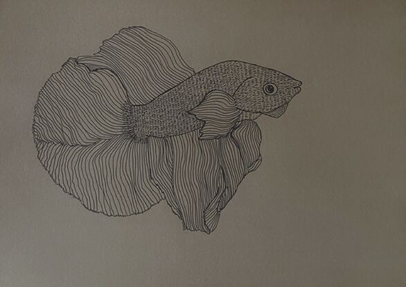 A rainbow betta fish swims created in black fine liner with black dashes and lines for colour. 