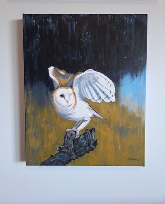 A barn owl on a branch