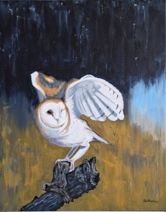 A barn owl on a branch