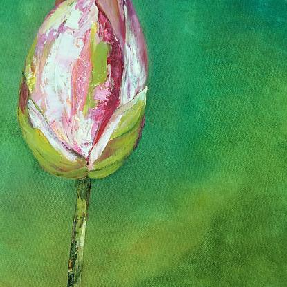 (CreativeWork) Dragonfly on lotus by Fiona McNair. Oil. Shop online at Bluethumb.