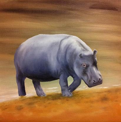 (CreativeWork) Hippopotamus by David Lesslie. Oil. Shop online at Bluethumb.