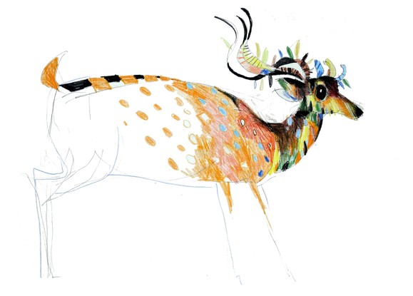 (CreativeWork) Spotted Deer  by John Graham. Mixed Media. Shop online at Bluethumb.