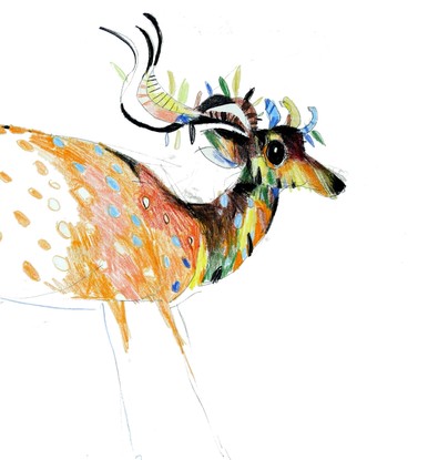 (CreativeWork) Spotted Deer  by John Graham. Mixed Media. Shop online at Bluethumb.