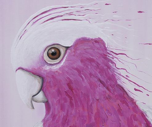 (CreativeWork) Bird Series - Pink Galah - Limited Edition Print Ed. 2 of 250 by Tank .. Reproduction Print. Shop online at Bluethumb.