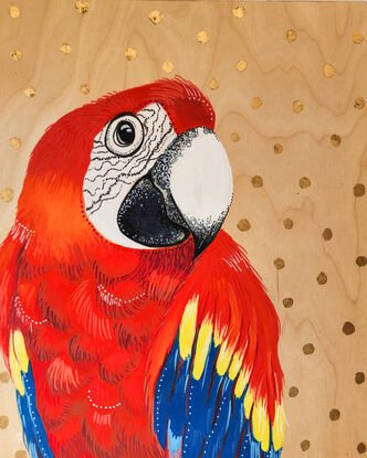 Red macaw with captivating eye, with a calm demeanour.