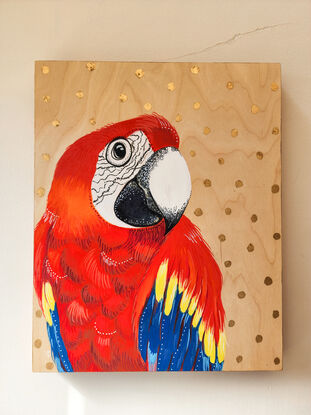 Red macaw with captivating eye, with a calm demeanour.