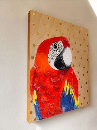 Red macaw with captivating eye, with a calm demeanour.