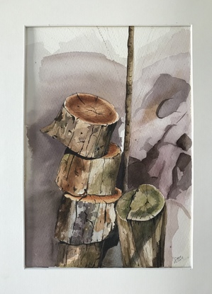 Watercolour art, nature, timber, bush