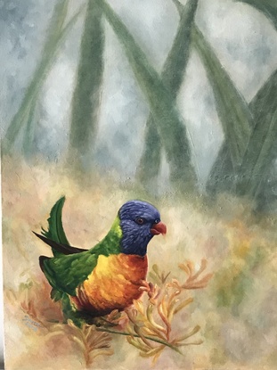 Rainbow lorikeet oil painting with kangaroo paws behind