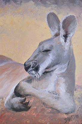  Framed painting of a big red kangaroo resting in the afternoon heat