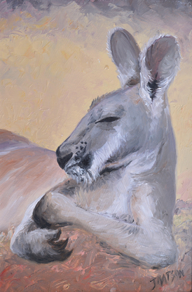  Framed painting of a big red kangaroo resting in the afternoon heat