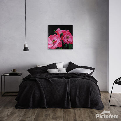 Gorgeous pink roses on black background