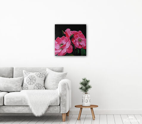 Gorgeous pink roses on black background