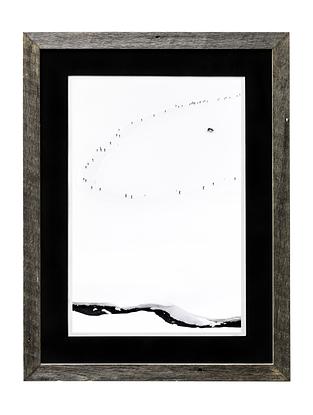 (CreativeWork) Alpine 2/7 Ed. 1 of 100 by Penny Prangnell. Photograph. Shop online at Bluethumb.