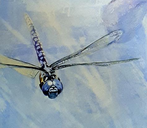 (CreativeWork) Dragonfly Princess by Jennifer Boyes. Acrylic. Shop online at Bluethumb.