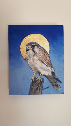 (CreativeWork) Nankeen kestrel by Jennifer Boyes. Mixed Media. Shop online at Bluethumb.