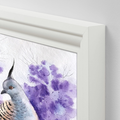 (CreativeWork) Crested pigeon on jacaranda — framed original watercolour by Irina Redine. Watercolour. Shop online at Bluethumb.