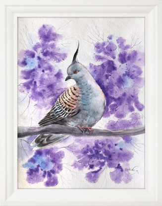 (CreativeWork) Crested pigeon on jacaranda — framed original watercolour by Irina Redine. Watercolour. Shop online at Bluethumb.