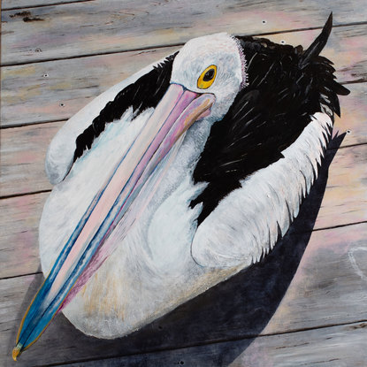 A pelican sitting on weathered wooden deck