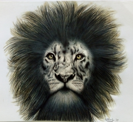 (CreativeWork) ROAR by Nikool McIndoe. Drawing. Shop online at Bluethumb.