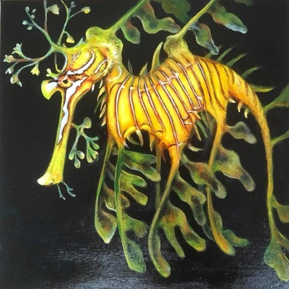 Closeup of a leafy seahorse.