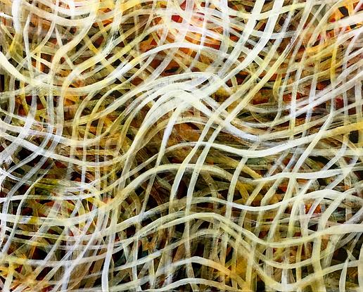 (CreativeWork) Drift Net I - Large original Abstract by Jacquelyn Stephens. Mixed Media. Shop online at Bluethumb.