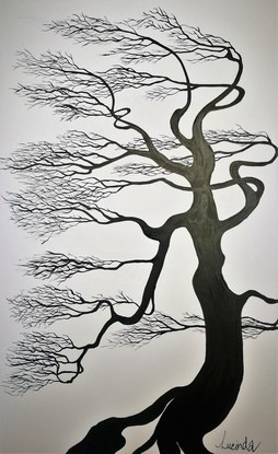 (CreativeWork) Bonsai Maple by Lucinda Leveille. Drawing. Shop online at Bluethumb.