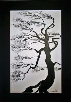 (CreativeWork) Bonsai Maple by Lucinda Leveille. Drawing. Shop online at Bluethumb.