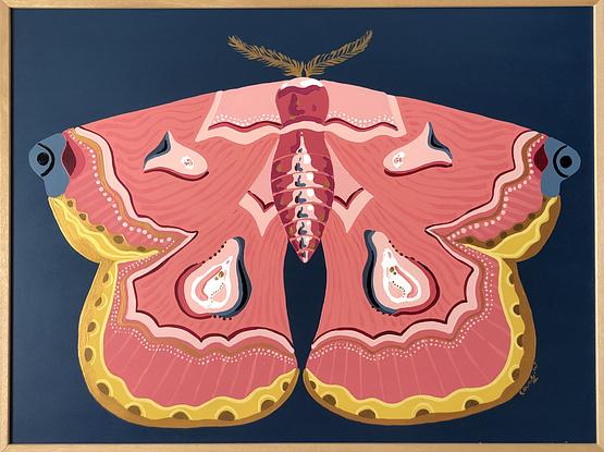 (CreativeWork) Pretty in Pink Moth  by emma whitelaw. Acrylic. Shop online at Bluethumb.