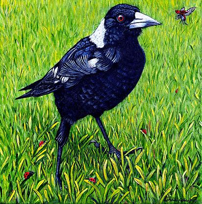 (CreativeWork) Friendly Magpie by Linda Callaghan. Acrylic. Shop online at Bluethumb.