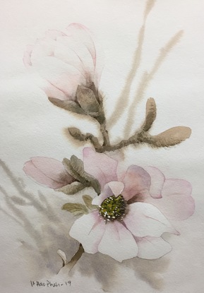 (CreativeWork) Magnolias  by It Hao Pheh. Watercolour. Shop online at Bluethumb.