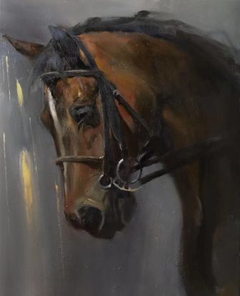 (CreativeWork) Horse by Li Zhang. Oil. Shop online at Bluethumb.