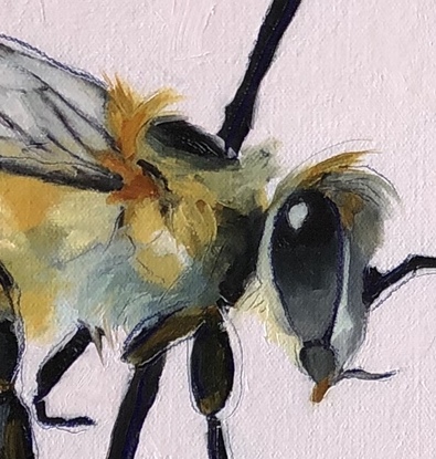 (CreativeWork) BEEZ KNEEZ II by GILL PEDRANA. Oil. Shop online at Bluethumb.