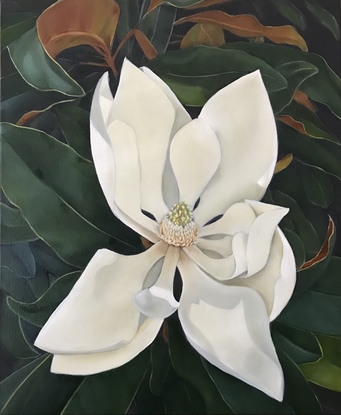 (CreativeWork) Little Gem Magnolia  by Christine Huntley Harris. Oil. Shop online at Bluethumb.