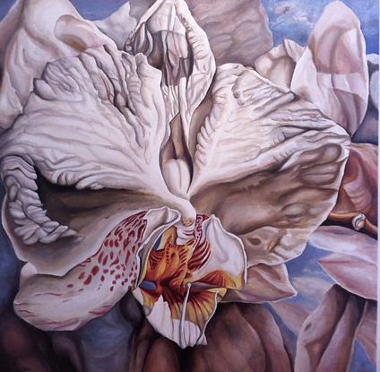 (CreativeWork) Orchids by Kerry Doran. Oil. Shop online at Bluethumb.