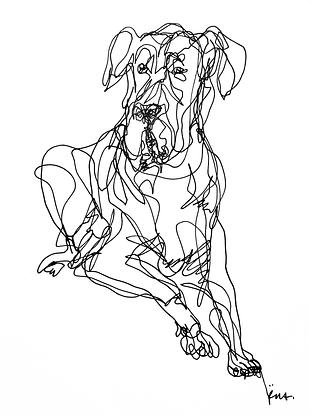 (CreativeWork) Don't Let Go - DOG by Irma Calabrese. Drawing. Shop online at Bluethumb.