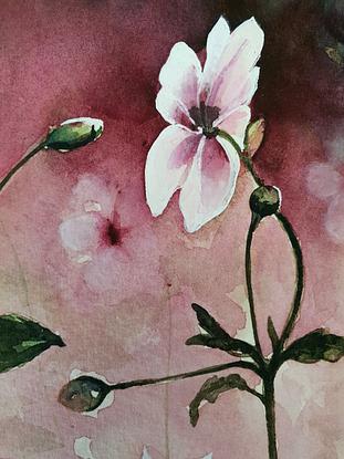 (CreativeWork) Wildflowers by Lucinda Leveille. Watercolour. Shop online at Bluethumb.