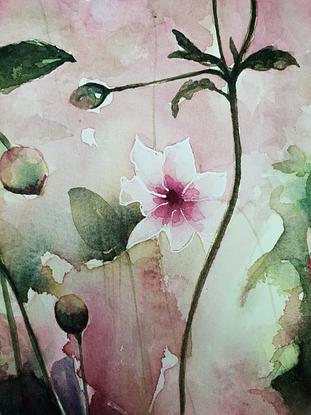 (CreativeWork) Wildflowers by Lucinda Leveille. Watercolour. Shop online at Bluethumb.